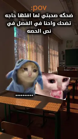 #foryoupage #foryou #fyp #viral #viralvideo #تصميم_فيديوهات🎶🎤🎬 #tiktok #قطط #edit #تصاميمي #مضحكه_جدا_كوميدية😅😂🤭💔 #الشعب_الصيني_ماله_حل😂😂 #