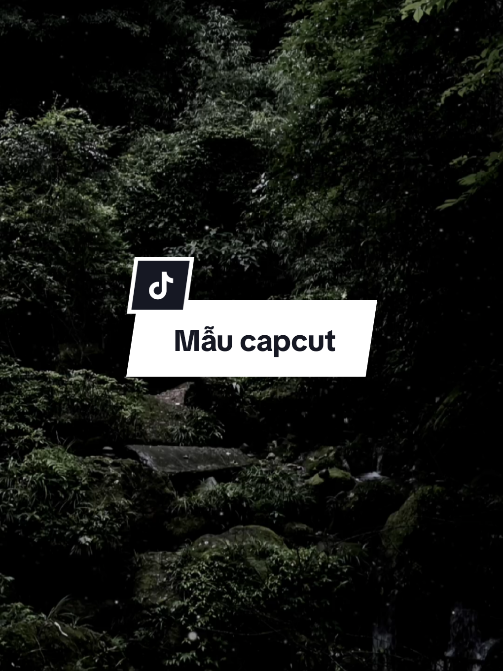 #CapCut Mùa thu đi qua a nghe đám lá gọi tên #mauhaymoingay #hidengne #nhachaymoingay #trumview 