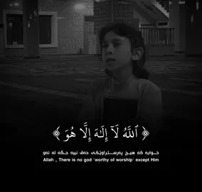 سورة آل عمران - معاذ الشامي #قران_كريم #معاذ_الشامي #rawakurdy #اكسبلور #kurdistan 