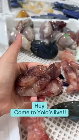 Welcome to my live stream 🥰🥰🫶🫶Yolo waiting for u !!!!!#crystallover #crystaltok🧚🏻‍♀️✨🦄 #crystalshop #crystals #fyp 