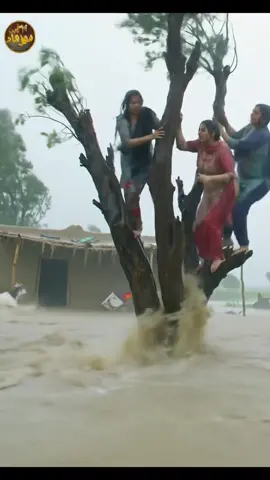 Floods may drown the land, but not the spirit of our people 🌊🇵🇰 Every drop tells a story of struggle, survival, and hope PakistanFloods #HumanityAboveAll #PakistaniVibes #FloodSurvivors #HopeInDarkness #NaturalDisaster 