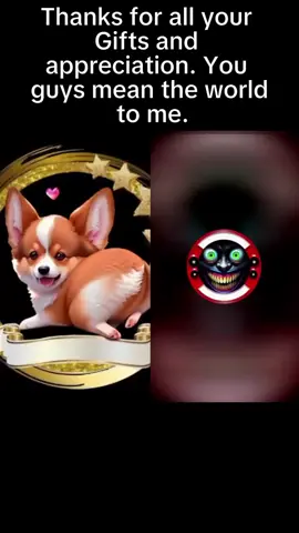 Thanks for all your Gifts and appreciation. You guys mean the world to me. #tiktoklive #livehighlights