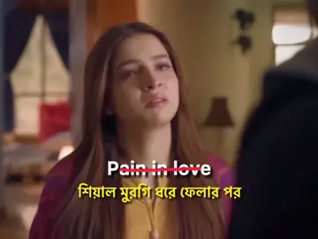 শিয়াল মুরগী ধরার পরে🤣🤣🤣🤣🤣