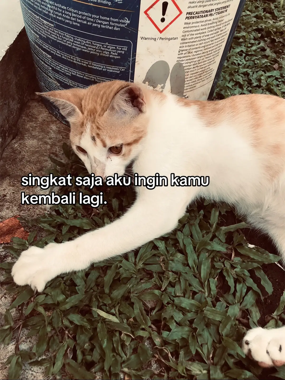 #fyp #xyzbca #4u #foryou 