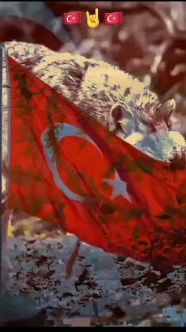 Birlikte Türkiye’yiz en son nefese kadar🇹🇷🇹🇷🇹🇷🤘🤘#fyp #keşfettt #keşfetteyizzz #foryoupage❤️❤️ #CapCut 