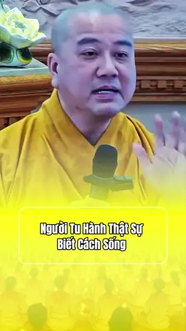 THẦY THÍCH PHÁP HOÀ GIẢNG PHÁP #thichphaphoa #adidaphat #cauchuyenphatgiao #phatgiao #baihocducphat    