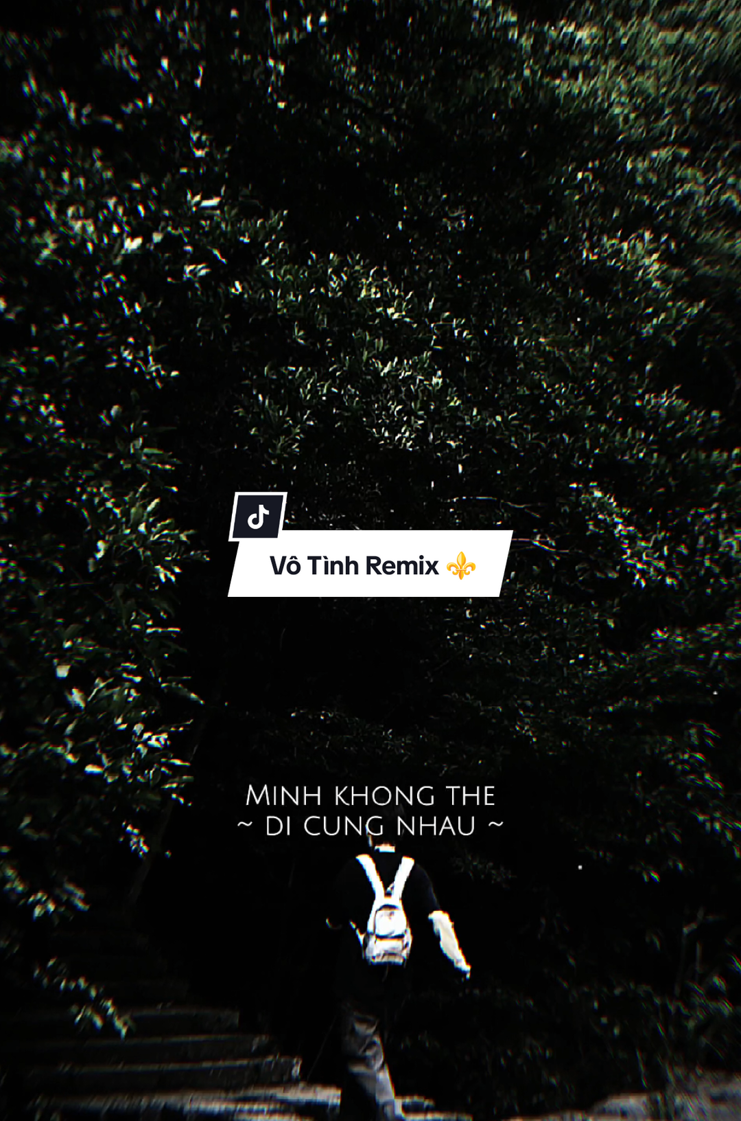 Mình không thể đi cùng nhau sợ người vô tình.. | Vô Tình Remix ⚜️ #CapCut #nhachaymoingay #VoTinh #MinhSang #giatgiat 