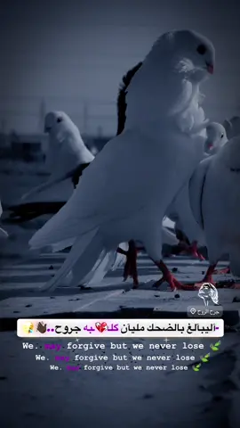 #ماكو_تفاعل_نايمين_شني💔😅#اكسبلورexplore #مشاهير_تيك_توك #الشعب_الصيني_ماله_حل😂😂 #متابعه_ولايك_واكسبلور_احبكم 
