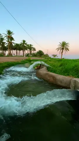 مدري الدنيا تغيرت مدري البشر ؟؟؟؟؟ #المصور_غزوان_النمراوي #تصويري_احترافي_الاجواء👌🏻🕊😴 #ستوريات #fyp #تصويري 