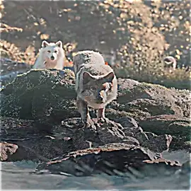 صلوا على النبي 🤎#ملخصات_افلام #فلم #ملخصات #فيلم_قصير #فيلم 