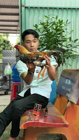 Sài êm lắm nha cả nhà 🥰🥰