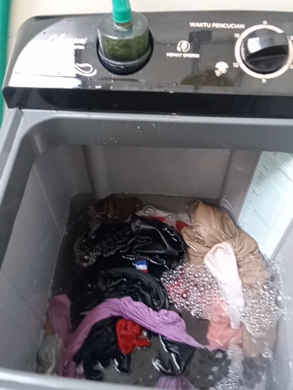 Mesin cuci sanken 8kg dua tabung garansi 5th✅ #sanken #mesincuci #mesincucimurah #fyppppppppppppppppppppppp 