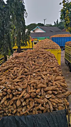 piye iki bolo nginep neh😭. dunia persingkongan sedang tidak baik