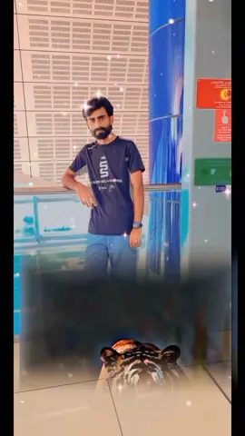 #CapCut #full #trending #🇵🇰🇵🇰🇵🇰🇦🇪🇦🇪💯💯🤔🤔 #786 