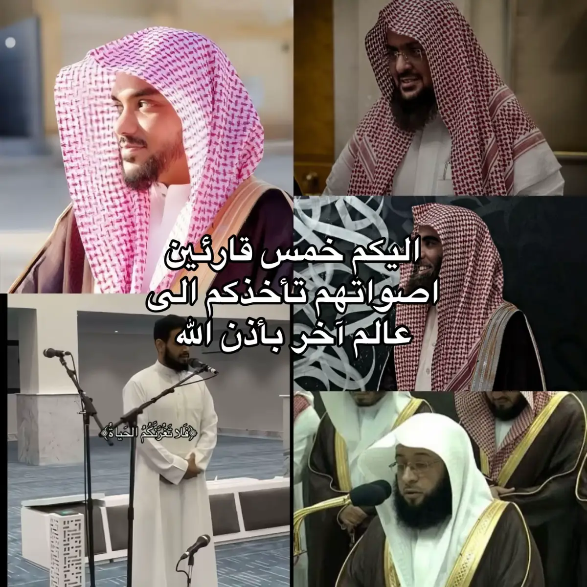 #محمد_زاهر_البارقي #عمير_شميم #محمد_اللحيدان #يوسف_الصقير #بدر_التركي 