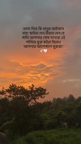 #fyppppppppppppppppppppppp #tiktok #foryou #unfrezzmyaccount #unfrezzmyaccount