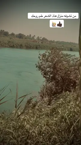 #لايك_متابعه_اكسبلور #f #fyp #foryoupage #تصاميم_فيديوهات🎵🎤🎬 