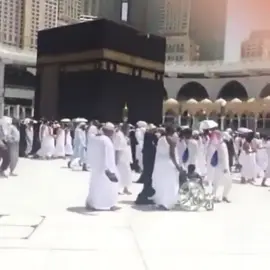 الله يسمع منك ههههههههههههه#دوسري #الوادي #ارشيفات 