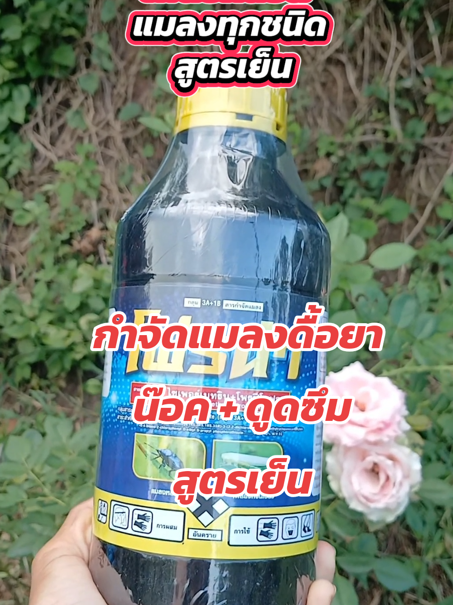#ไซเพอร์เมทริน  #โพรฟีโนฟอส #สารกําจัดแมลง #กําจัดแมลง #เกษตรสาวภูธร 