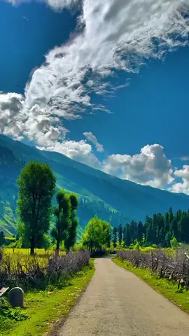 #kashmirwithstand🥴🥰 #fypシ゚viral🖤tiktok☆♡🦋1millionviewsmyvideo #foryou #100kviews @TiktokPakistanOfficial 