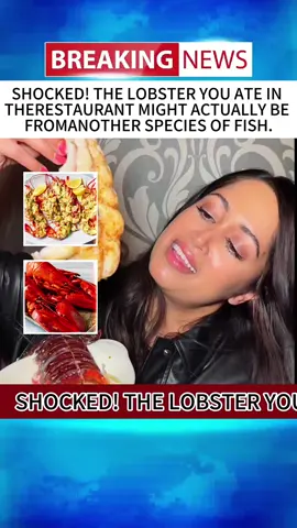 SHOCKED! THELOBSTER YOUATEINTHE RESTAURANT MICHTACTUALLYBE FROM ANOTHER SPECIESOFFISH#news #breakingnews #foryou #fyp #tiktoknews