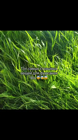 Кому страшно пиши я!!#щитпост #щитпост #щитпост #щитпост #щитпост 