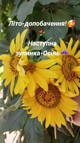 #україна #літо #спогади 