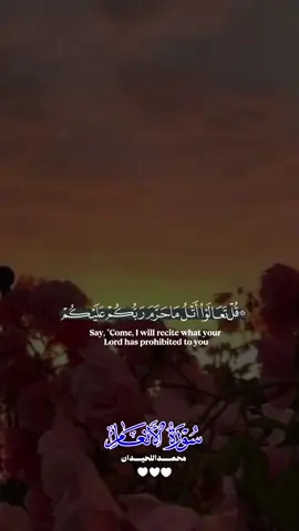 محمد اللحيدان #ارح_سمعك_بالقران #Quran 