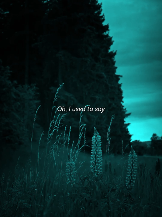 Until I found you #blackmood #aesthetic #foryou 
