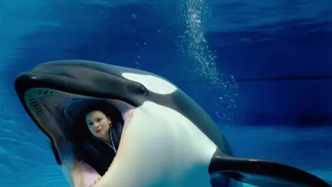 آخر لحضات جيسكا والحوت ياكلها#AI فيديو#جيسكا #fypتوضيح هذا  بذكاء الاصطناعي ethịt huấn luyện#jessica 