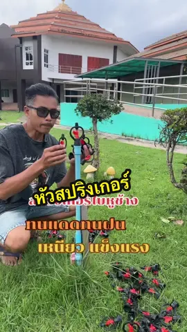 หัวสปริงเกอร์รดน้ำ#ชาวสวน #เกษตรกร #ใช้ดีบอกต่อ #ชอบปลูกผัก #ชาวไร่ 