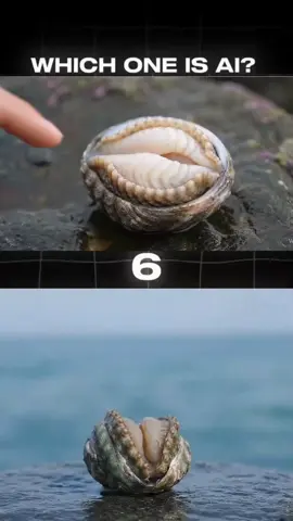 Don't Be Fooled: How to Identify AI Video! #gamequiz #satisfy #guessinggame #realvideo #gameai #aiquiz #realorai #gameai #fyp #viral 