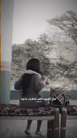 وانا  هوى  قلبي . . .  وليفٍ  نتاجه .. ‏بين الضلوع العوج حسرات وجروح .. ‏       عليه قلبي ما يوقف خلاجه .. ‏ من حيث ماوجه ومن حيث ماروح .. ‏ اشفق على شوفته وضحكة حجاجه .. ‏  واشتاق له شوق المغاليق للبوح.. @Nouf    ‘🇰🇼  #تركي_الميزاني_رمزي_الهذلي_شيلات_شعر_قصيد_محاوره #اكسبلوووووور_explore #تصميم_فيديوهات🎶🎤🎬 #foryoupage #تصميمي_ترند 
