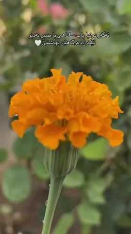 #صبر #قران_كريم #راحه_نفسيه 