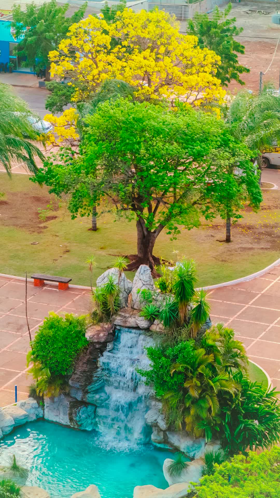 🌼💛 O final de agosto e início de setembro marcam o auge da florada dos ipês amarelos em Sidrolândia, nos lembrando que a vida é marcada por ciclos. Agosto se encerra, trazendo consigo o mês das flores, da primavera e dos ipês amarelos, lembrando que a vida também tem seus ciclos de renascimento e beleza. Setembro também se veste de amarelo para ser o mês de conscientização sobre a prevenção ao suicídio. Que a força e a cor dessas árvores nos inspirem a valorizar a vida, cultivar a esperança e cuidar uns dos outros. 🌳 📢 Falar é a melhor solução. Procure apoio, converse, esteja perto de quem precisa. #SetembroAmarelo #ValorizaçãoDaVida #Sidrolândia