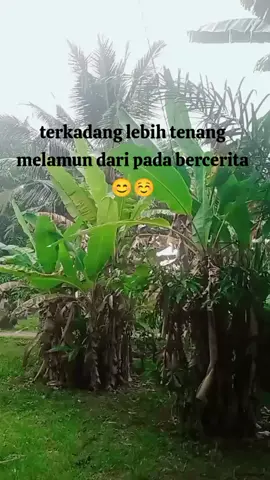 itu Kanapa alasannya aku lebih suka ngelamun #fyppppppppppppppppppppppp #sad #sadbrutal🥀 