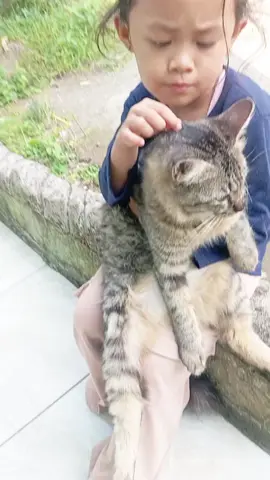 yang lihat kucing ini tolong balikin ya 🙏🙏