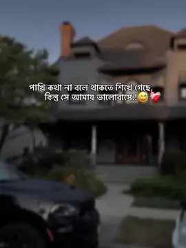 পাখি কথা না বলে থাকতে শিখে গেছে, কিন্তু সে আমায় ভালোবাসে.!😅❤️‍🩹 . . . . . . . . . . . . . . . #foryou #foryoupage #tiktokbangladesh #fppppppppppppppppppp #frpシ 