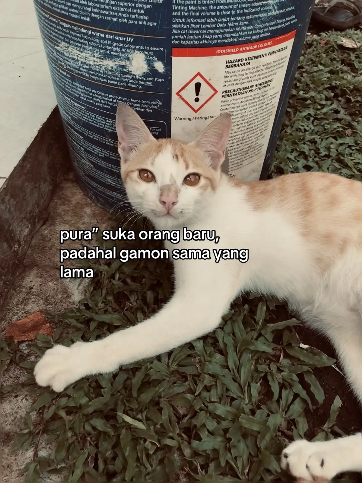 #fyp #xyzbca #4u #gamon 