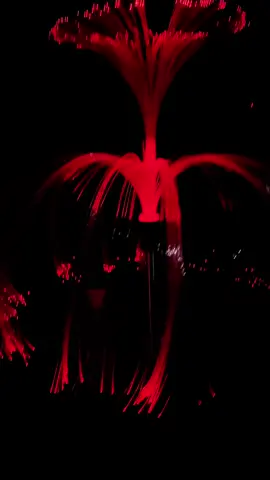 Solar jellyfish Led  #solarjellyfishlight #solarjellyfishgardenlights #jellyfishlights #christmaslights 