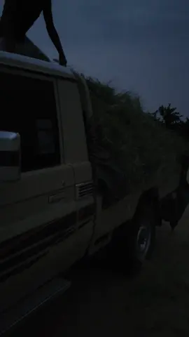 #انا وليفي سكن في المزرعهه😂😂. ##للايـڪ #مـتآبعهه #اڪكسـبلورر #هاشتاقات   ـ احترافيي ـ الاجواء👌🏻🎶   ججــبࢪڕ📮   وادييٓ عَـعبيدھٌ  .