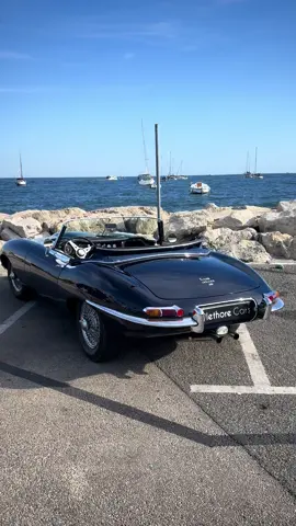 #jaguar #typee #classiccar #plethorecars 