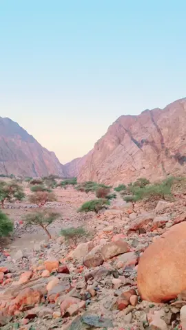 #اعليقي_ياتاج_الكرم_اسمك_علي_القمه_هرم #اذكروا_الله_يذكركم #الشعب_الصيني_ماله_حل😂😂 