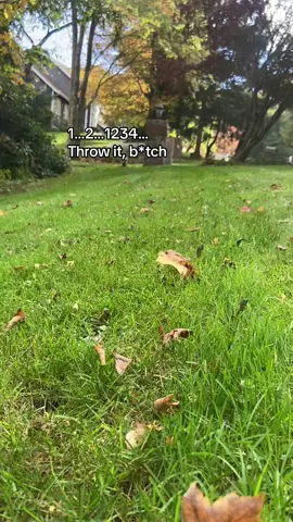 #dachshund #minidachshund #fyp 