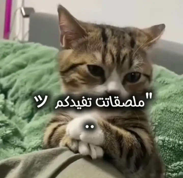 ملصقات تفيدكم#متابعه #TikTok #CapCut #لايك #اكسبلور 