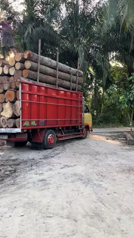 #fyp #fypシ゚ #fypviral 