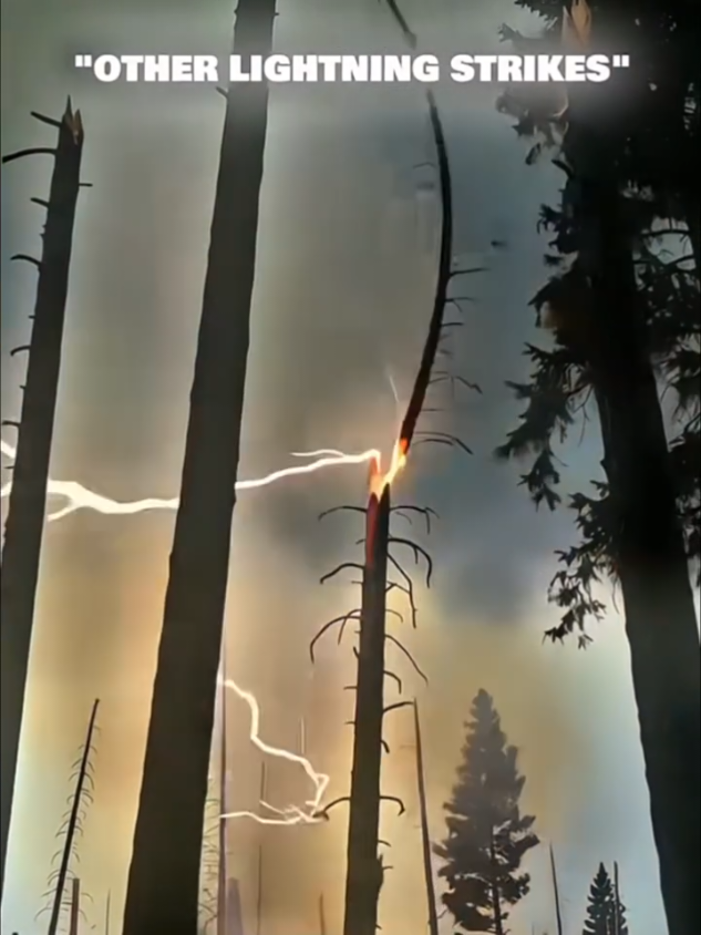 #SilentHillImmediateVision #LanglangMountainLittleMonster #StormandLightningandThunder #MyCityisBlowingaStron gWind #LightningandThunderandStrongWindandHeavyRainXiaohongshu