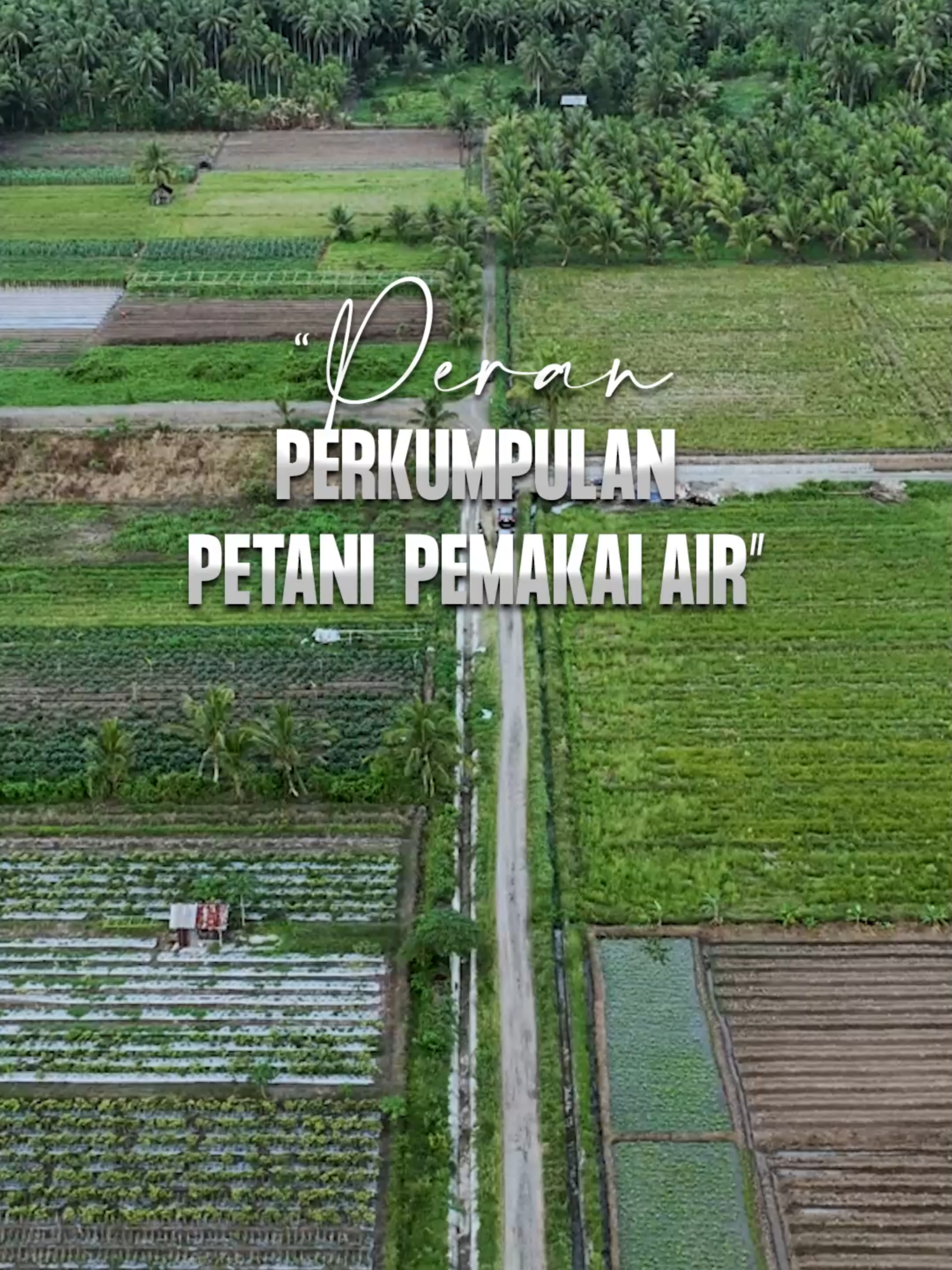 Di balik fungsinya, keberadaan P3A—Perkumpulan Petani Pemakai Air—menjadi kunci tulang punggung bagi aliran air, tetapi juga penopang utama bagi ketahanan pangan nasional.#bwsmalut💪💪🔥 #SDAditjenSDA