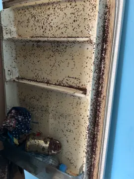 Общажная жизнь студента 😂#общага 