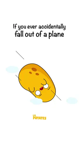 You survived falling out of a plane #plane #accidents #falling #survival #rizz 